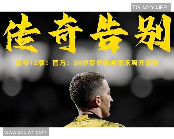 范戴克：从天才少年到足坛巨星的辉煌历程与传奇故事